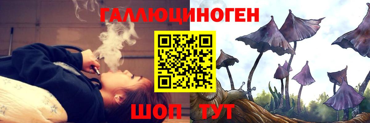 Псилоцибиновые грибы мицелий Алексеевка